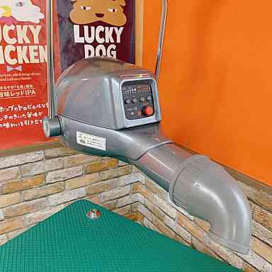 イオンドライヤー