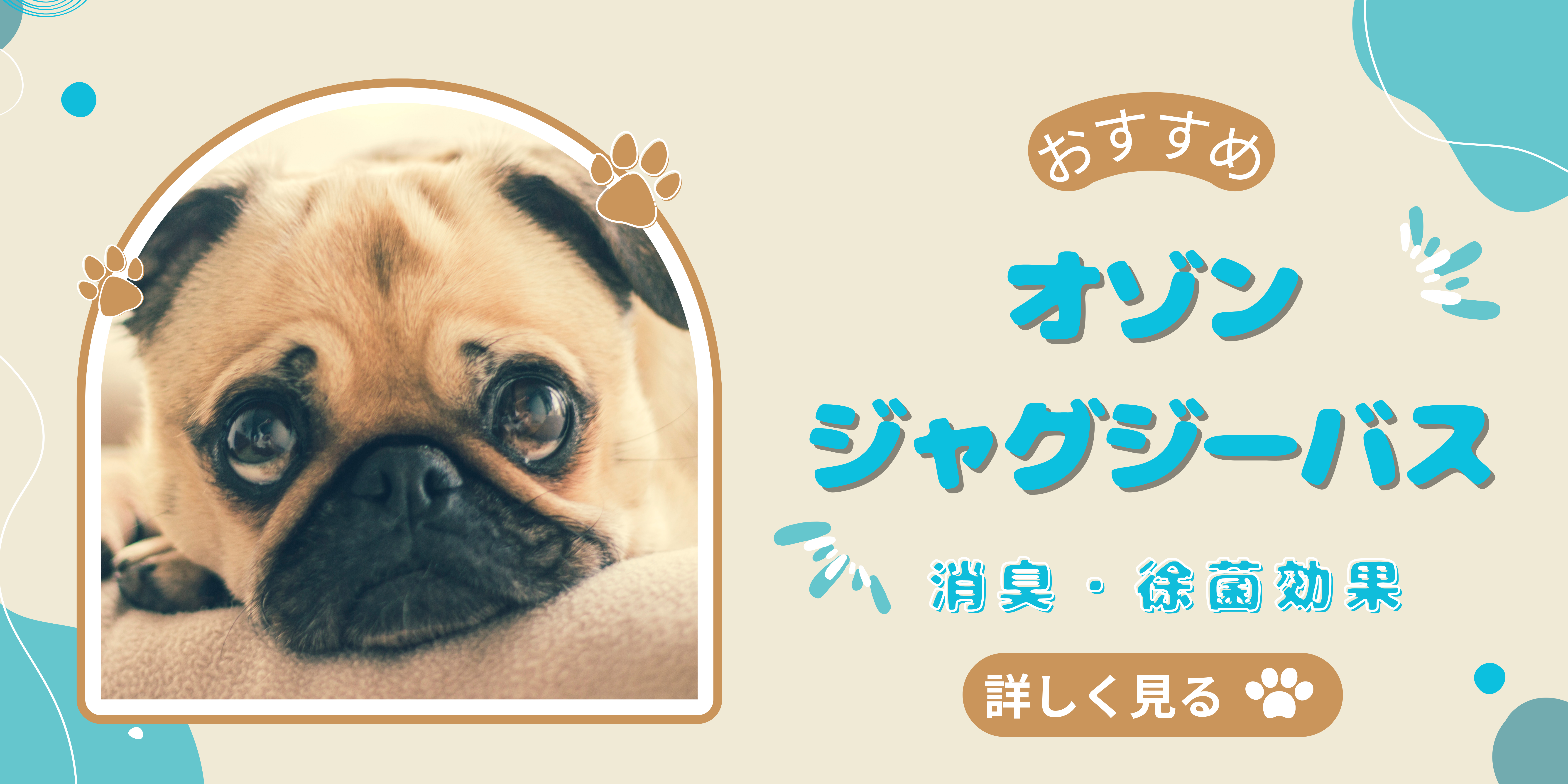 オゾンジャグジーバス